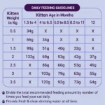Purrfeto Chicken and Rice Kitten Cat Dry Food - Image 4