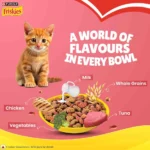 Purina Friskies Kitten Dry Food - Image 2