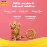 Purina Friskies Kitten Dry Food - Image 3