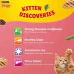 Purina Friskies Kitten Dry Food - Image 5