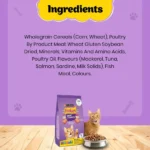 PURINA FRISKIES Surfin' Favourites Mackerel Tuna Salmon & Sardine Flavours Dry Adult Cat Food - Image 3