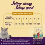 Purrfeto Chicken and Salmon Adult Cat Dry Food - Image 4