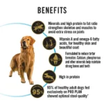PURINA PRO PLAN Large Breed Adult Dry Dog Food - 3kg - Image 2