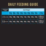 PURINA PRO PLAN Large Breed Adult Dry Dog Food - 3kg - Image 4