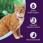 Purrfeto Chicken and Rice Adult Cat Dry Food - Image 2