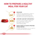 Royal Canin Veterinary Diet Urinary S/O Cat Chicken Wet Food - Image 3