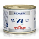 Royal Canin Recovery Canned Adult Pet Wet Food - Image 3